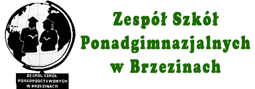 ZSP Brzeziny - Kontakt